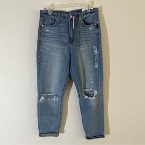 NWT American Eagle Outfitters Women's Mom Jean